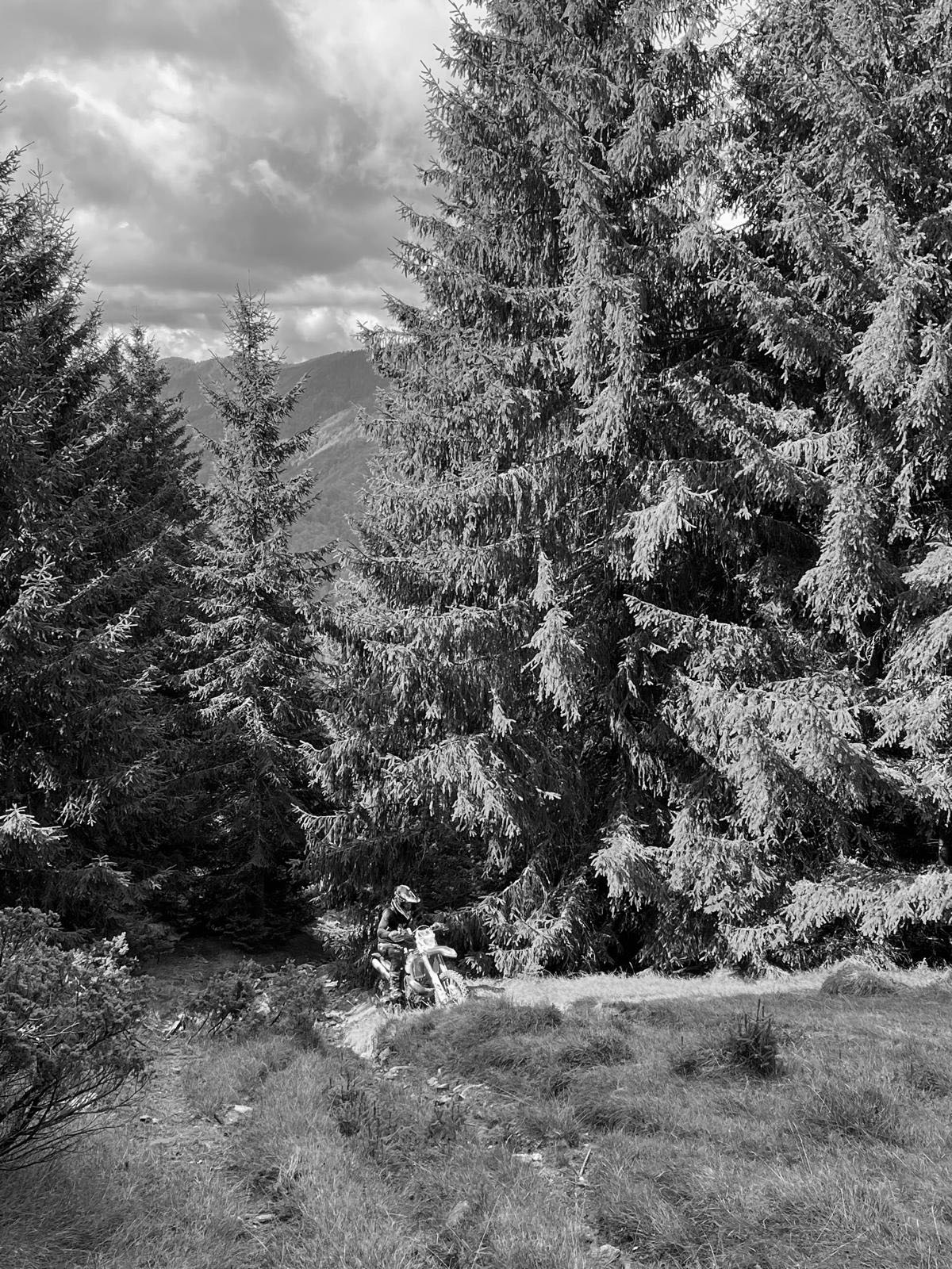 Legale und offizielle Enduro-Strecken in Österreich für Freies Fahren und Training